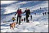 Sneeuwschoenwandeling vanuit Ascharina naar Jägglisch Horn, Zwitserland , vrijdag 8 januari 2016