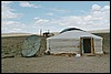 Khongoryn Els, Mongolië , zaterdag 19 juli 2003