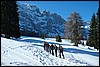 Sneeuwwandelen in de Rosengarten, Italië , dinsdag 26 februari 2008