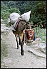 van Syange naar Tal, Nepal , zaterdag 2 november 2002