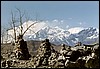 omgeving Muktinath, Nepal , maandag 11 november 2002