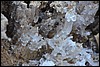 Sneeuwschoenwandeling vanuit Ascharina naar Chrüz, Zwitserland , zaterdag 9 januari 2016