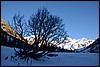 Sneeuwschoenwandeling vanuit Klosters richting Silvretta, Zwitserland , zaterdag 9 januari 2016