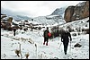 Taurus gebergte, Turkije , woensdag 10 februari 2010