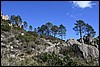 Sneeuwwandelen. Corsica , zondag 5 maart 2017