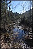 Sneeuwwandelen. Corsica , zondag 5 maart 2017