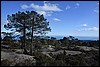 Sneeuwwandelen. Corsica , zondag 5 maart 2017