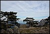 Sneeuwwandelen. Corsica , zondag 5 maart 2017