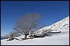 Sneeuwwandelen. Corsica , zondag 5 maart 2017