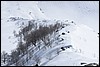 Sneeuwwandelen. Corsica , zondag 5 maart 2017