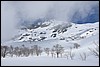 Sneeuwwandelen. Corsica , zondag 5 maart 2017