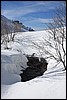 Sneeuwwandelen. Corsica , zondag 5 maart 2017