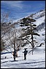 Sneeuwwandelen. Corsica , zondag 5 maart 2017