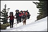 Sneeuwwandelen. Corsica , zondag 5 maart 2017