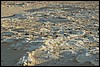 witte woestijn Farafra, Egypte , donderdag 11 november 2004