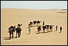 kamelentocht nabij El Qasr, Egypte , maandag 15 november 2004