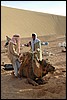 kamelentocht nabij El Qasr, Egypte , dinsdag 16 november 2004