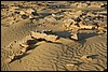 woestijn nabij El Qasr, Egypte , dinsdag 16 november 2004
