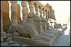 Karnak tempel, Luxor, Egypte , zaterdag 20 november 2004