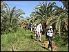 wandeling omgeving Bahariya oase, Egypte , dinsdag 9 november 2004