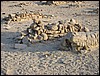 graven Bahariya oase, Egypte , dinsdag 9 november 2004