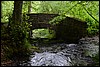 van Monschau naar Einruhr, Eifelsteig, Duitsland , zondag 8 juni 2014