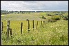 van Einruhr naar Gemünd,  Eifelsteig, Duitsland , zondag 8 juni 2014