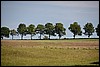 van Gemünd naar Steinfeld. Eifelsteig, Duitsland , zondag 8 juni 2014