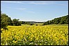 van Gemünd naar Steinfeld. Eifelsteig, Duitsland , zondag 8 juni 2014