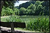 van Daun naar Manderscheid, Eifelsteig, Duitsland , zondag 16 juli 2017