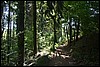 van Manderscheid naar Himmerod, Eifelsteig, Duitsland , zondag 16 juli 2017