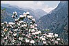 terugkeer naar Namche Bazaar, Nepal , zondag 9 mei 2004