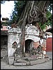 Durbar Square Kathmandu, Nepal , woensdag 21 april 2004