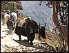 onderweg naar Deboche, Nepal , maandag 3 mei 2004