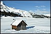 Sneeuwwandelen in NP Fanes Sennes, Italie , zondag 22 februari 2009