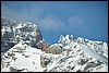 Sneeuwwandelen in NP Fanes Sennes, Italie , zondag 22 februari 2009