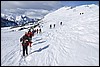 Sneeuwwandelen in NP Fanes Sennes, Italie , zondag 22 februari 2009