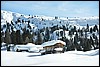 Sneeuwwandelen in NP Fanes Sennes, Italie , woensdag 25 februari 2009