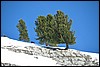 Sneeuwwandelen in NP Fanes Sennes, Italie , zaterdag 28 februari 2009