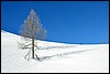 Sneeuwwandelen in NP Fanes Sennes, Italie , zaterdag 28 februari 2009