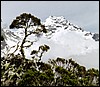 Routeburn track, New Zealand , zaterdag 7 december 1996