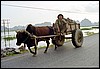 Ninh Bonh, Vietnam , zondag 19 oktober 1997