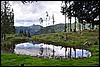 Grossarltal - Oostenrijk , woensdag 27 juli 2011