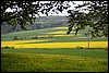 Wandeling bij Breuna, Habichtswaldsteig, Duitsland , maandag 18 mei 2015