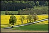 Wandeling bij Breuna, Habichtswaldsteig, Duitsland , maandag 18 mei 2015