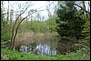 Wandeling bij Breuna, Habichtswaldsteig, Duitsland , maandag 18 mei 2015