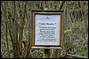 Wandeling bij Breuna, Habichtswaldsteig, Duitsland , maandag 18 mei 2015