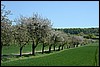 van Zierenberg naar Kassel, Habichtswaldsteig, Duitsland , maandag 18 mei 2015