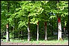 Hotel Elfbuchen, Kasslen, Duitsland , maandag 18 mei 2015