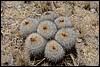 Huïnchus, Peru , zaterdag 20 september 2014